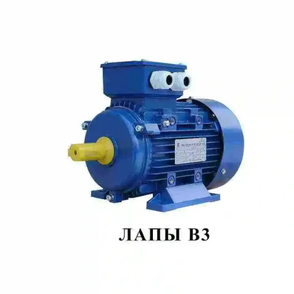 Электродвигатель АИР 100 L8 (1.5 кВт 750 об/мин) Электродвигатель АИР 100 L8 (1.5 кВт 750 об/мин)
